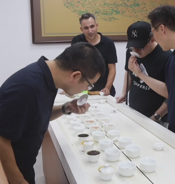 Jing Tea - tea tasting