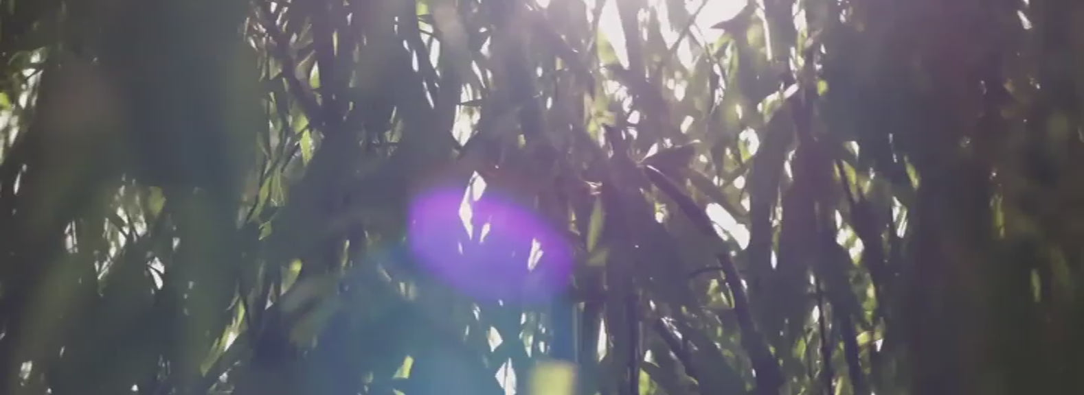 Elizabeth Scarlett - lifestyle accessories